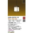 dpn-39978ye(小組)