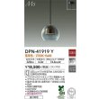 dpn-41919y(小組)
