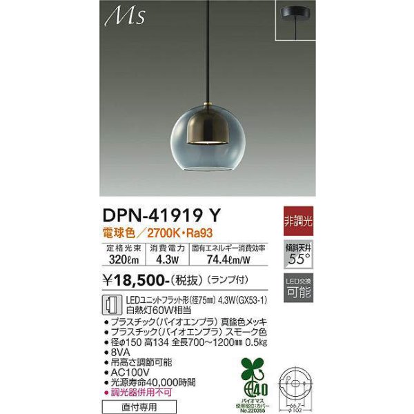 dpn-41919y(小組)