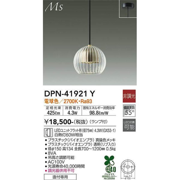 dpn-41921y(小組)