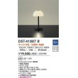 dst-41887r(小組)