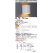 画像1: 三菱　EL-VE1701C　LED照明器具 LED電球搭載タイプ ブラケット 多目的(不透光タイプ) ランプ別売 受注生産品 [§] (1)