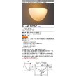 画像1: 三菱　EL-VE1705C　LED照明器具 LED電球搭載タイプ ブラケット 密閉形 ランプ別売 受注生産品 [§] (1)