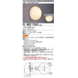 画像1: 三菱　EL-WCE1700C　LED照明器具 LED電球搭載タイプ 浴室灯 天井・壁面取付兼用 ランプ別売 受注生産品 [§] (1)