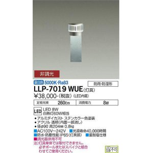 画像: 大光電機(DAIKO) LLP-7019WUE アウトドアライト ポールライト 非調光 昼白色 灯具本体 クリアグローブボラード 下方配光 防雨・防湿形 ステンカラー