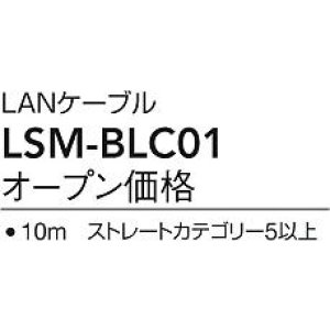 画像: 大光電機(DAIKO) LSM-BLC01 部材 LANケーブル 10m