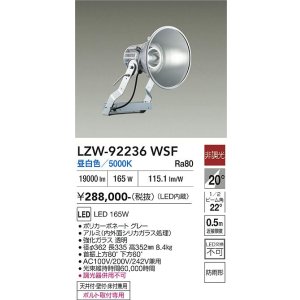 画像: 大光電機(DAIKO) LZW-92236WSF アウトドア 投光器 非調光 電源内蔵 昼白色 LED 防雨形