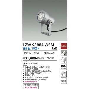 画像: 大光電機(DAIKO) LZW-93884WSM アウトドア スポットライト 非調光 灯具本体 フランジ別売 昼白色 LED 防雨形 シルバー