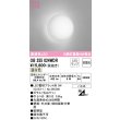 画像1: オーデリック　OB255024WDR(ランプ別梱)　ブラケットライト LEDランプ 非調光 温白色 (1)