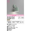 画像1: オーデリック　OB255070LR　ブラケットライト 非調光 LEDランプ 電球色 モスグリーン (1)