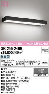 画像: オーデリック　OB255246R　ブラケットライト 非調光 LED一体型 昼白色 上下配光 ブラック