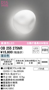 画像: オーデリック　OB255275NR(ランプ別梱)　ブラケットライト 非調光 LEDランプ 昼白色