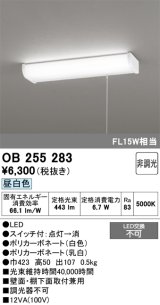 画像: オーデリック　OB255283　キッチンライト LED一体型 非調光 昼白色