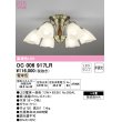 画像1: オーデリック　OC006917LR(ランプ別梱)　シャンデリア 8畳 非調光 LEDランプ 電球色 (1)