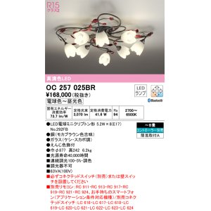 画像: オーデリック　OC257025BR　シャンデリア 8畳 調光 調色 Bluetooth コントローラー別売 LEDランプ 電球色〜昼光色
