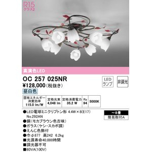 画像: オーデリック　OC257025NR(ランプ別梱)　シャンデリア 8畳 非調光 LEDランプ 昼白色