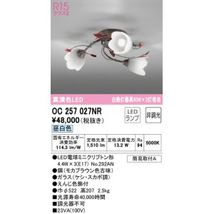 画像: オーデリック　OC257027NR(ランプ別梱)　シャンデリア 非調光 LEDランプ 昼白色