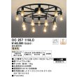 画像1: オーデリック　OC257119LC(ランプ別梱)　シャンデリア LED電球フィラメント形 調光 電球色 調光器別売 〜14畳 [♭] (1)