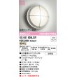 画像1: オーデリック　OG041639LCR(ランプ別梱)　エクステリア ポーチライト LEDランプ 電球色 防雨型 マットシルバー (1)