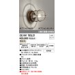 画像1: オーデリック　OG041763LC1(ランプ別梱)　エクステリア ポーチライト LEDランプ 電球色 別売センサー対応 防雨・防湿形 鉄錆色 (1)