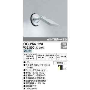 画像: エクステリアスポットライト オーデリック　OG254123　LED 昼白色