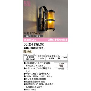 画像: オーデリック　OG254239LCR(ランプ別梱)　エクステリア ポーチライト LEDランプ 電球色 別売センサー対応 防雨型 鉄色ラスティ