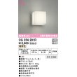 画像1: オーデリック　OG254291R　エクステリア ポーチライト LED一体型 電球色 防雨・防湿型 マットシルバー (1)