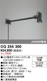 画像: オーデリック　OG254300　エクステリアスポットライト φ50LED電球ダイクロハロゲン形 ランプ別売