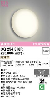 画像: オーデリック　OG254318R　バスルームライト 非調光 LED一体型 電球色防雨・防湿型