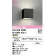 画像1: オーデリック　OG254379R　エクステリア ポーチライト LED一体型 電球色 上下配光 防雨型 ブラック (1)