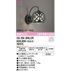 画像: オーデリック　OG254394LCR(ランプ別梱)　エクステリア ポーチライト LEDランプ 電球色 防雨型 ブラック