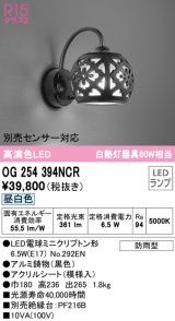 画像: オーデリック　OG254394NCR(ランプ別梱)　エクステリア ポーチライト LEDランプ 昼白色 防雨型 ブラック