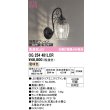 画像1: オーデリック　OG254481LCR(ランプ別梱)　エクステリア ポーチライト LEDランプ 電球色 別売センサー対応 防雨型 黒色 (1)