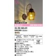 画像1: オーデリック　OG254482LCR(ランプ別梱)　エクステリア ポーチライト LEDランプ 電球色 別売センサー対応 防雨型 鉄錆色 (1)