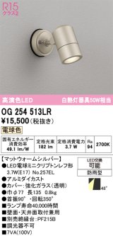 画像: オーデリック　OG254513LR　エクステリア スポットライト LEDランプ 電球色 防雨型 マットウォームシルバー