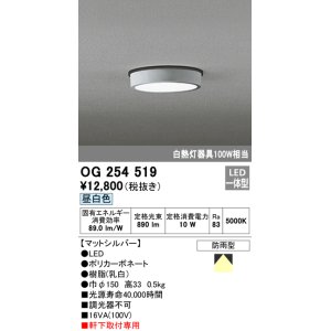 画像: オーデリック　OG254519　エクステリアダウンライト(軒下用) LED一体型 非調光 白熱灯100W相当 昼白色 マットシルバー