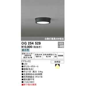 画像: オーデリック　OG254529　エクステリアダウンライト(軒下用) LED一体型 非調光 白熱灯60W相当 昼白色 ブラック