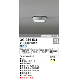 画像: オーデリック　OG254531　エクステリアダウンライト(軒下用) LED一体型 非調光 白熱灯60W相当 昼白色 マットシルバー