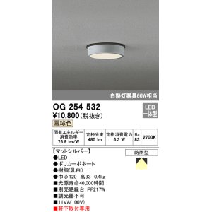 画像: オーデリック　OG254532　エクステリアダウンライト(軒下用) LED一体型 非調光 白熱灯60W相当 電球色 マットシルバー