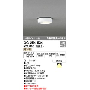 画像: オーデリック　OG254534　エクステリアダウンライト(軒下用) LED一体型 人感センサ ON-OFF型 白熱灯60W相当 電球色