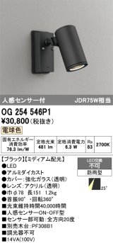 画像: オーデリック　OG254546P1　エクステリアスポットライト LED一体型 電球色 JDR75W相当 ミディアム配光 防雨型 黒