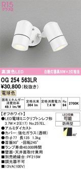 画像: オーデリック　OG254563LR　エクステリア スポットライト LEDランプ 電球色 防雨型 オフホワイト