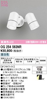 画像: オーデリック　OG254563NR(ランプ別梱)　エクステリア スポットライト LEDランプ 昼白色 防雨型 オフホワイト