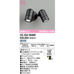 画像: オーデリック　OG254564NR(ランプ別梱)　エクステリア スポットライト LEDランプ 昼白色 防雨型 黒色サテン