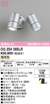 画像: オーデリック　OG254565LR　エクステリア スポットライト LEDランプ 電球色 防雨型 マットシルバー