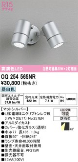 画像: オーデリック　OG254565NR(ランプ別梱)　エクステリア スポットライト LEDランプ 昼白色 防雨型 マットシルバー