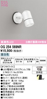 画像: オーデリック　OG254569NR(ランプ別梱)　エクステリア スポットライト LEDランプ 昼白色 防雨型 オフホワイト