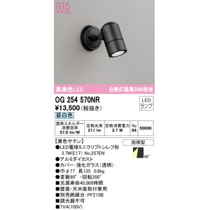画像: オーデリック　OG254570NR(ランプ別梱)　エクステリア スポットライト LEDランプ 昼白色 防雨型 黒色サテン