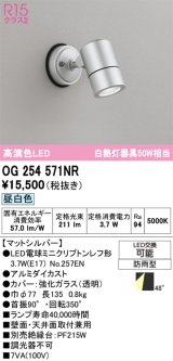 画像: オーデリック　OG254571NR(ランプ別梱)　エクステリア スポットライト LEDランプ 昼白色 防雨型 マットシルバー
