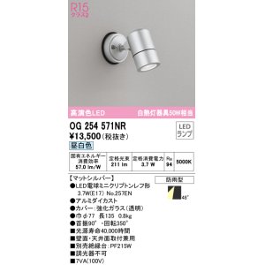 画像: オーデリック　OG254571NR(ランプ別梱)　エクステリア スポットライト LEDランプ 昼白色 防雨型 マットシルバー